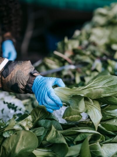 Agribusiness